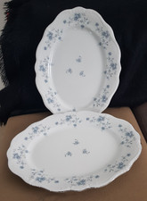 2 Platten Beilagenplatten