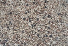 Vogelgrit 5 kg mit Mineralien