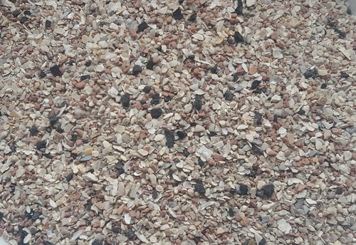 Vogelgrit mit mineralien - 5, kg