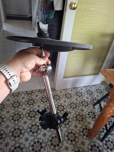Alesis zoll becken single - alesis,