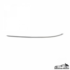 Stoßstange Leiste Hinten