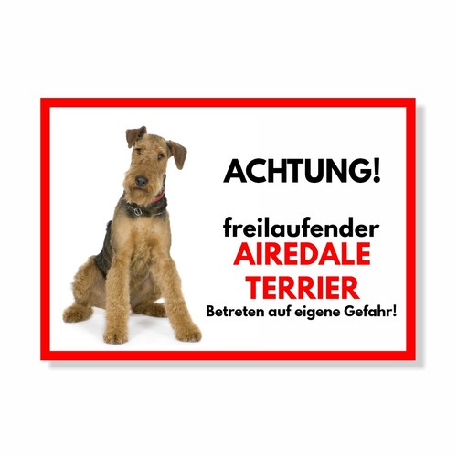 Airedale terrier freilaufender - airedale,
