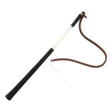 Hundetraining Peitsche