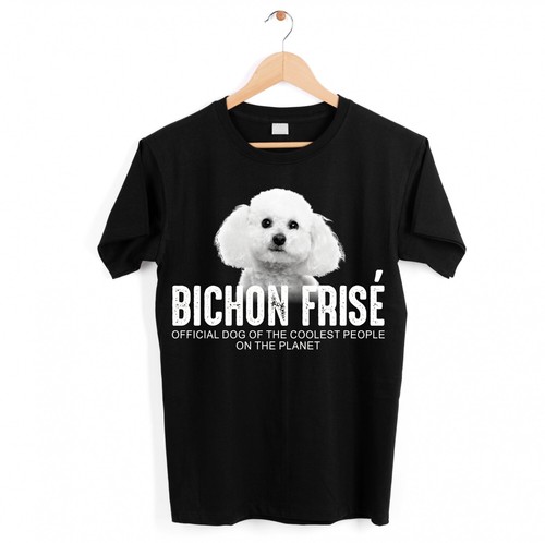 Bichon frise poil - poil, hund