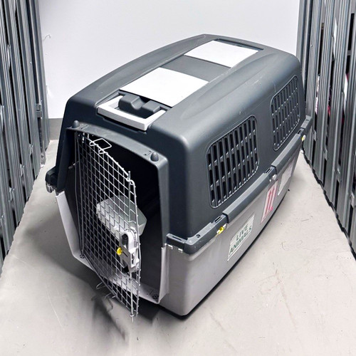 Robuste hundetransportbox aus - robuste,