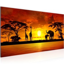 Wandbild afrika bilder xxl - bilder,