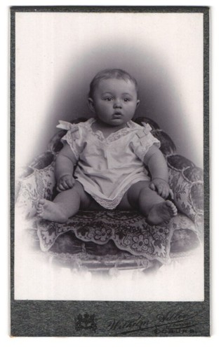 Fotografie wilhelm adler - fotografie,