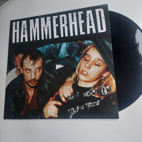 Hammerhead stay where the - hammerhead,