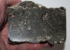 Wurzit schalenblende poliert - schalenblende,