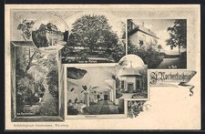 AK Zell / Main, St. Norbertusheim, Refectorium, Abteigebäude, Platane 1905 