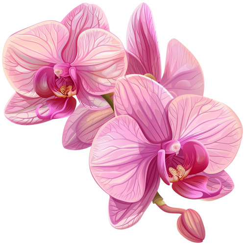 Wandtattoo aufkleber orchidee - aufkleber,