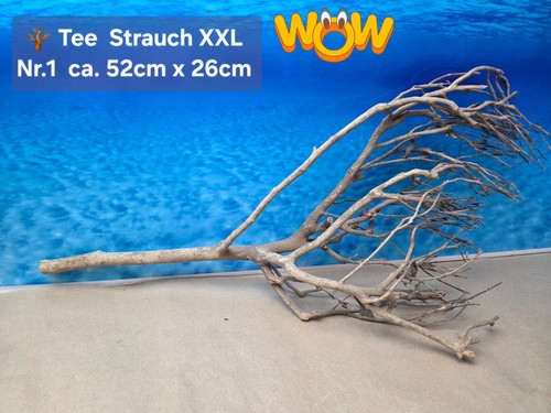 Xxl tee strauch aquarium - 🪴,