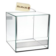 Terrarium 30x30x30 cm Pflanzen