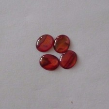 4 Stück Abalone Shell