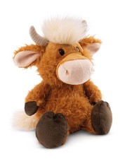 Nici Hochlandrind McMooray