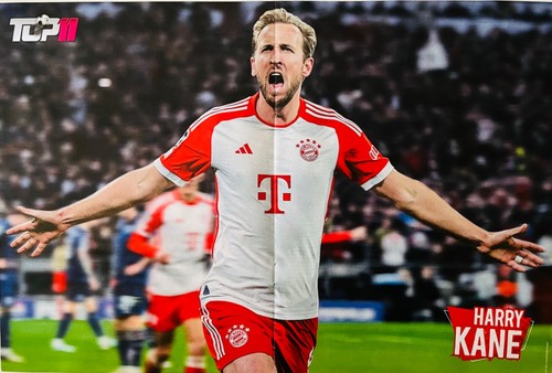 Poster harry kane bayern - harry,