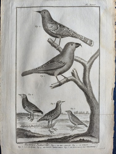 Kupferstiche von 1768 benard - kupferstiche,