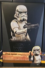 Hot Toys 1:6 – Remnant