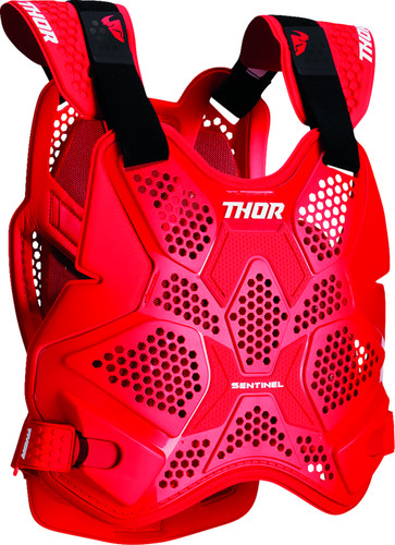 Thor sentinel pro - pro, armour