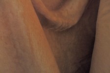 1105- Webpelz/ Plüsch