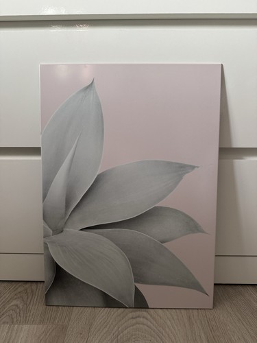 Displate grau rosa floral - displate,