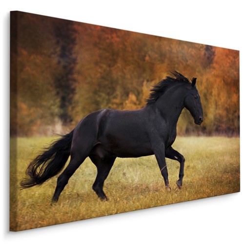Canvas leinwand bilder - leinwand, xxl