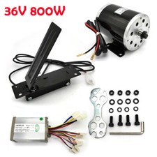 800W 36V Elektrofahrrad E-bike