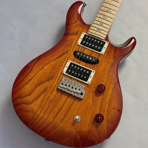 Paul reed smith prs swamp - se,