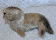 kleiner Seehund  Echtfell  Tier