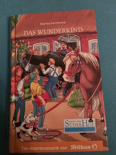 Neues vom süderhof 26 - neues, bd.26