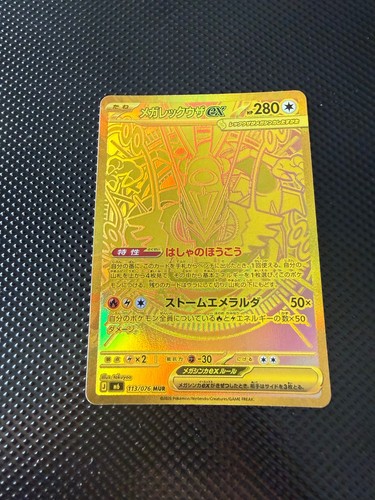 Pokémon mega rayquaza mur - pokémon,