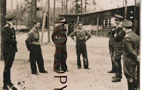 Foto ii lufwaffe - wk,
