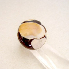 Ring mit Erdnussholz, 925er