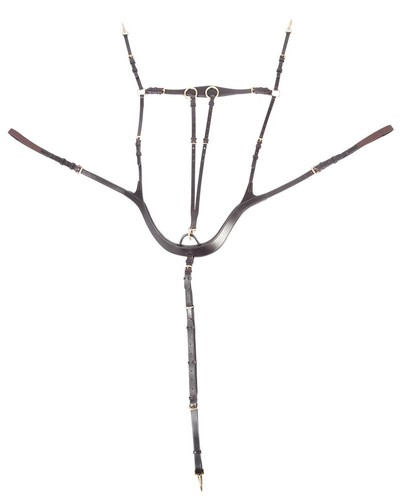 Pfiff anatomisches vorderzeug - pfiff,