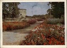 Kulturpark Erfurt Dahlien