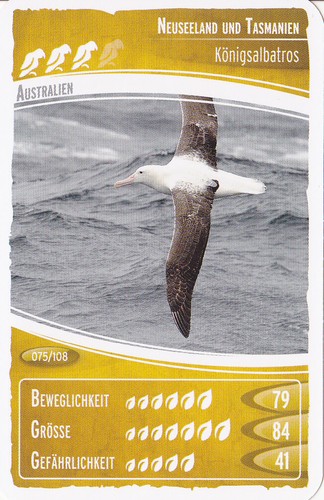 Netto ozeanien - ,