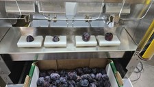 E2004 Zwetschgenentkernmaschine Entkernmaschine für Pflaumen Zwetschgen Entkerne
