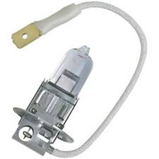 HALOGEN GLÜHBIRNE 12V 35W H3 PK22S SCHEINWERFER FRONTLICHT MOTORRAD AUTO SCOOTER