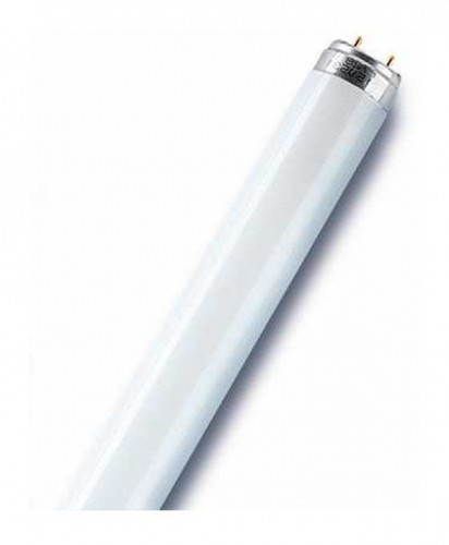 Ledvance l58w 865 - ledvance, l58w/865