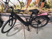 Pegasus Premio EVO 10 Lite