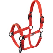 Eskadron Poppy Red W Halfter Double Pin Dynamic 2025 Stallhalfter