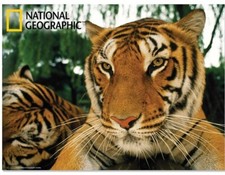 National Geographic 3D