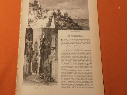 ülum 1891 314 nizza - Ülum,