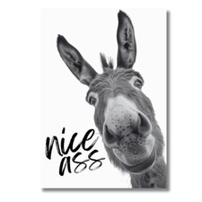 A4 Poster NICE ASS Lustiges