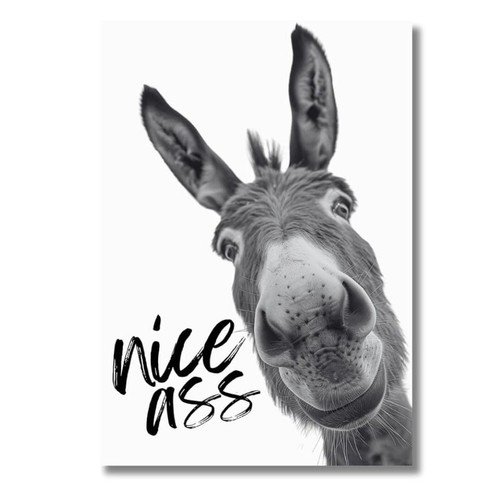 Poster nice ass lustiges - a4,
