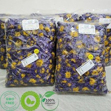 Blauer Lotus (Nymphaea