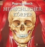 Pop buch menschlicher - pop-up-buch,