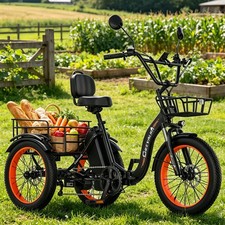 20" 3-Rad Elektrofahrrad 48V