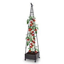 Blumenkasten mit rankhilfe - blumenkasten,