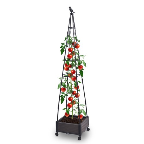 Blumenkasten mit rankhilfe - mit, in